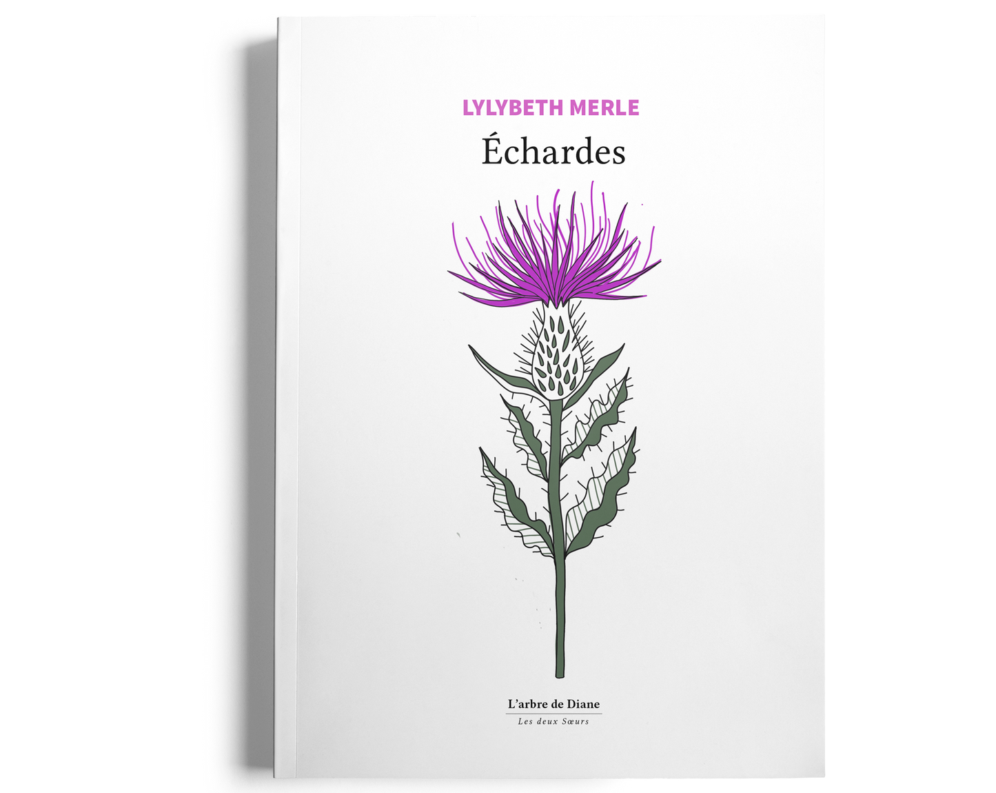 Nouveauté - Échardes