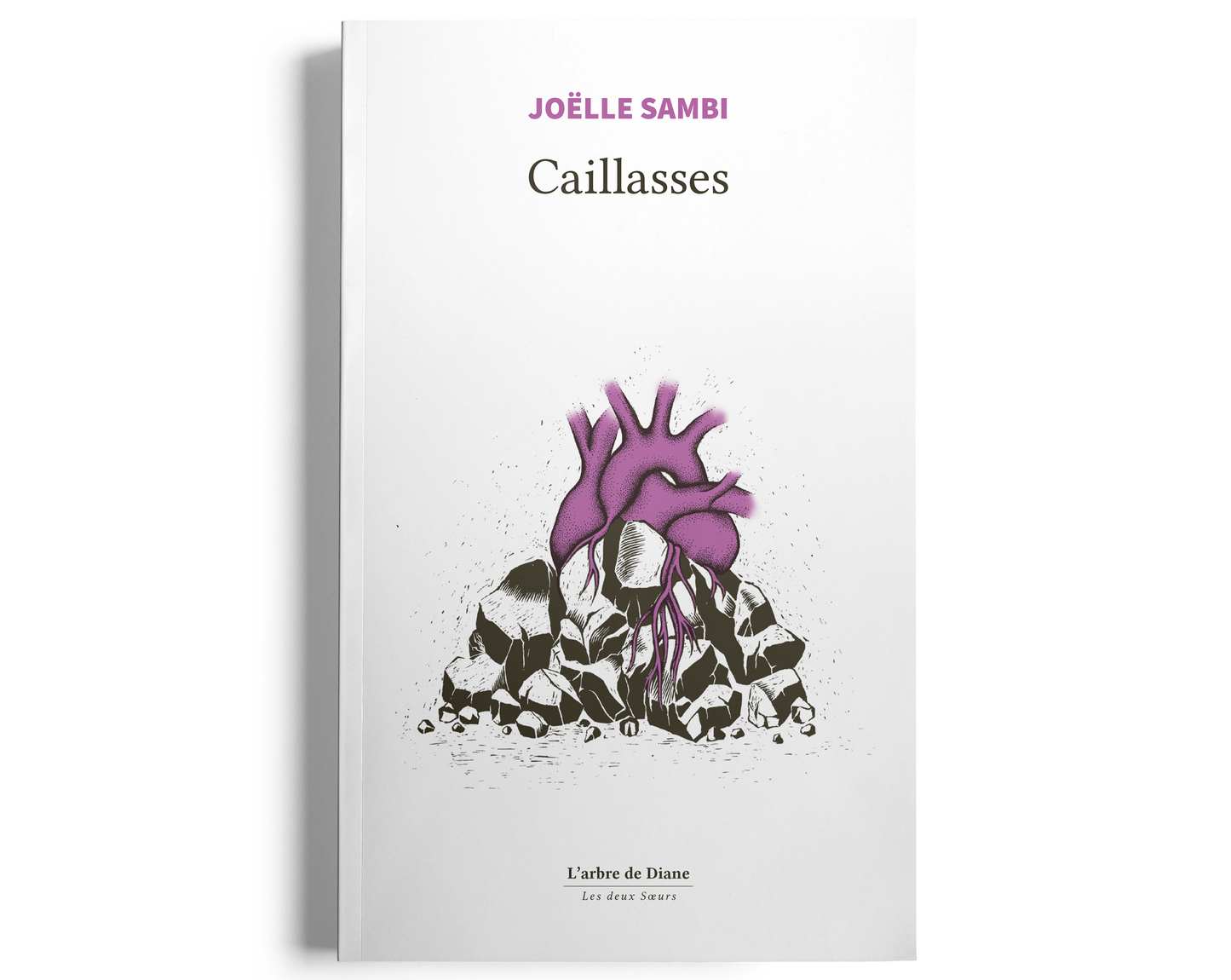 Caillasses